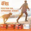 4 Flex Cassis + witamina C (smak czarnej porzeczki) 30 sasz.