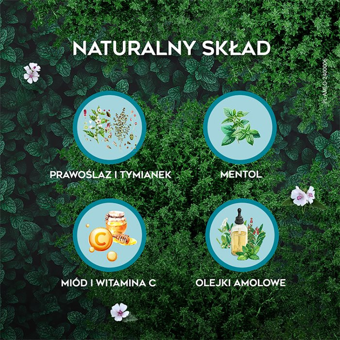 Amolowe na gardło z miodem i witaminą C pastylki, 16 szt.