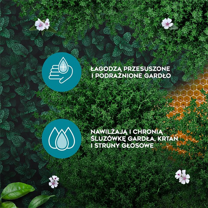 Amolowe na gardło z miodem i witaminą C pastylki, 16 szt.