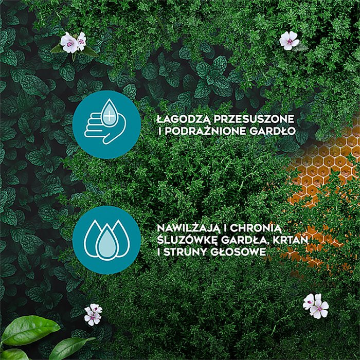 Amolowe na gardło z miodem i witaminą C pastylki do ssania, 16 szt.