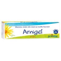 Arnigel żel na stłuczenia siniaki i ból mięśni, 120 g