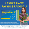 Bilastyna Amertil 20 mg tabletki, 10 szt.
