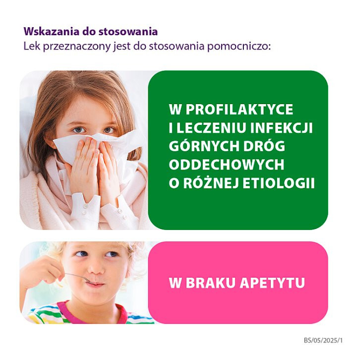 Bioaron system syrop 100 ml/Odporność