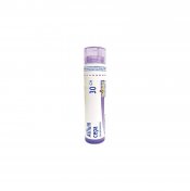 BOIRON Allium cepa 30CH 4 g