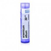 BOIRON Arsenicum album 30CH 1g