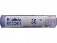 BOIRON Baptisia tinctoria 30CH 4 g