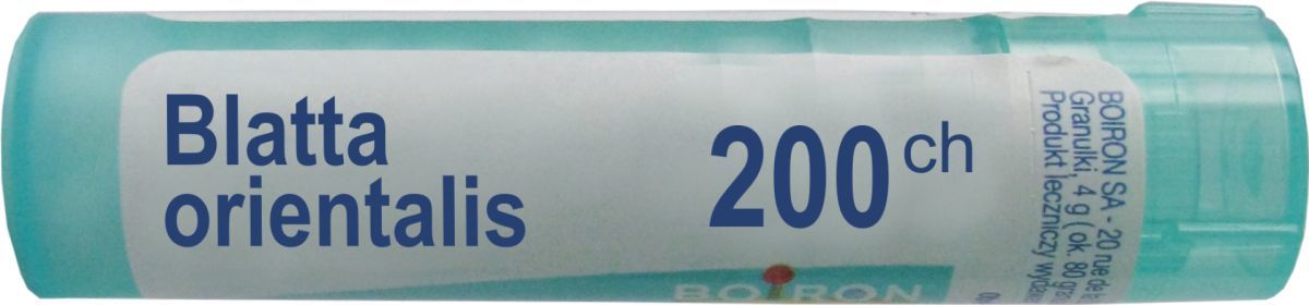 BOIRON  Blatta  orientalis  200CH 4 g