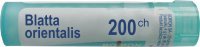 BOIRON  Blatta  orientalis  200CH 4 g