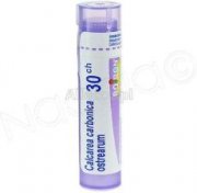 BOIRON Calcarea carbonica ostrearum 30CH 1g