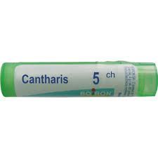 BOIRON Cantharis 5CH 4 g