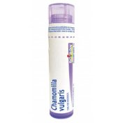 BOIRON Chamomilla vulgaris 30CH 4 g