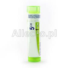 BOIRON Coccus cacti 5CH 4g