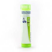 BOIRON Coccus cacti 5CH 4g