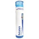 BOIRON Dulcamara 9CH 1g