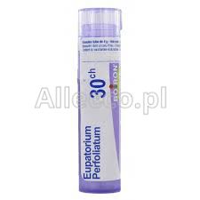 BOIRON Eupatorium perfoliatum 30CH 4 g