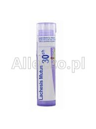 BOIRON Lachesis mutus 30CH 4 g