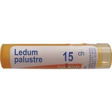 BOIRON Ledum Palustre 15CH 4 g