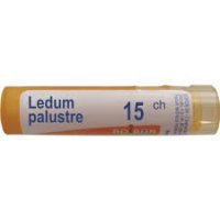 BOIRON Ledum Palustre 15CH 4 g