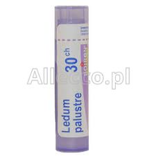 BOIRON Ledum Palustre 30CH 4g