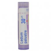 BOIRON Ledum Palustre 30CH 4g