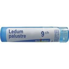 BOIRON Ledum Palustre 9CH 4 g