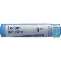 BOIRON Ledum Palustre 9CH 4 g