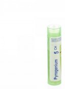 BOIRON Pyrogenium 5CH 4 g 