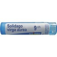 BOIRON Solidago virga aurea 9CH 4 g
