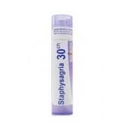 BOIRON Staphysagria 30CH 4 g