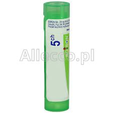 BOIRON Symphytum officinale 5CH 4 g