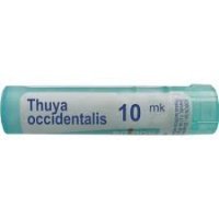 BOIRON Thuya occidentalis 10MK 4 g