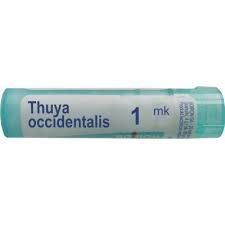 BOIRON Thuya  occidentalis 1MK 4 g