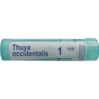 BOIRON Thuya  occidentalis 1MK 4 g