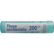BOIRON Thuya Occidentalis 200CH 4 g