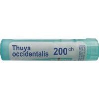 BOIRON Thuya Occidentalis 200CH 4 g
