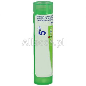 BOIRON Zincum metallicum 5CH 4 g