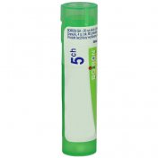 BOIRON Zincum metallicum 5CH 4 g