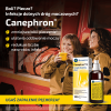 Canephron N - Zapalenie pęcherza krople 100 ml