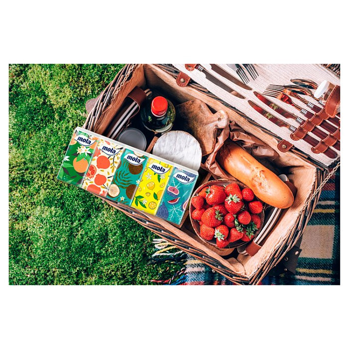 Chusteczki higieniczne 10 sztuk MOLA