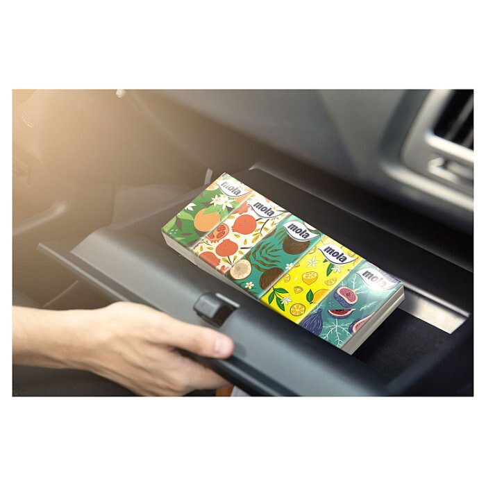 Chusteczki higieniczne 10 sztuk MOLA