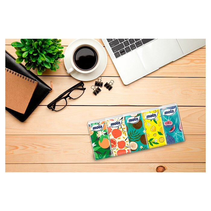 Chusteczki higieniczne 10 sztuk MOLA