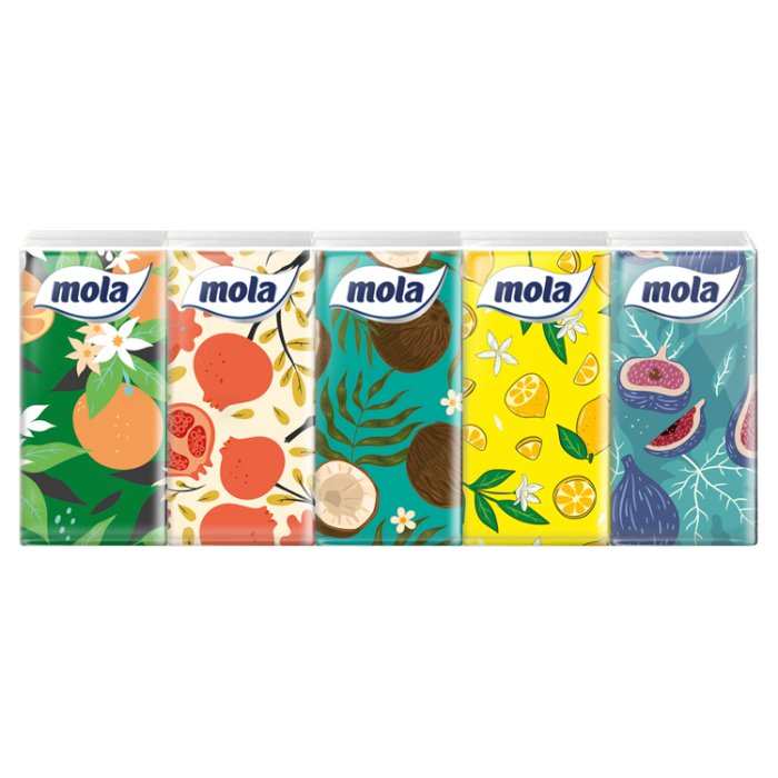 Chusteczki higieniczne 10 sztuk MOLA