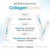 Collagen Nucleo saszetki, 30 szt.