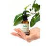 Cutis konopne serum olejowe + CBD, 50 ml