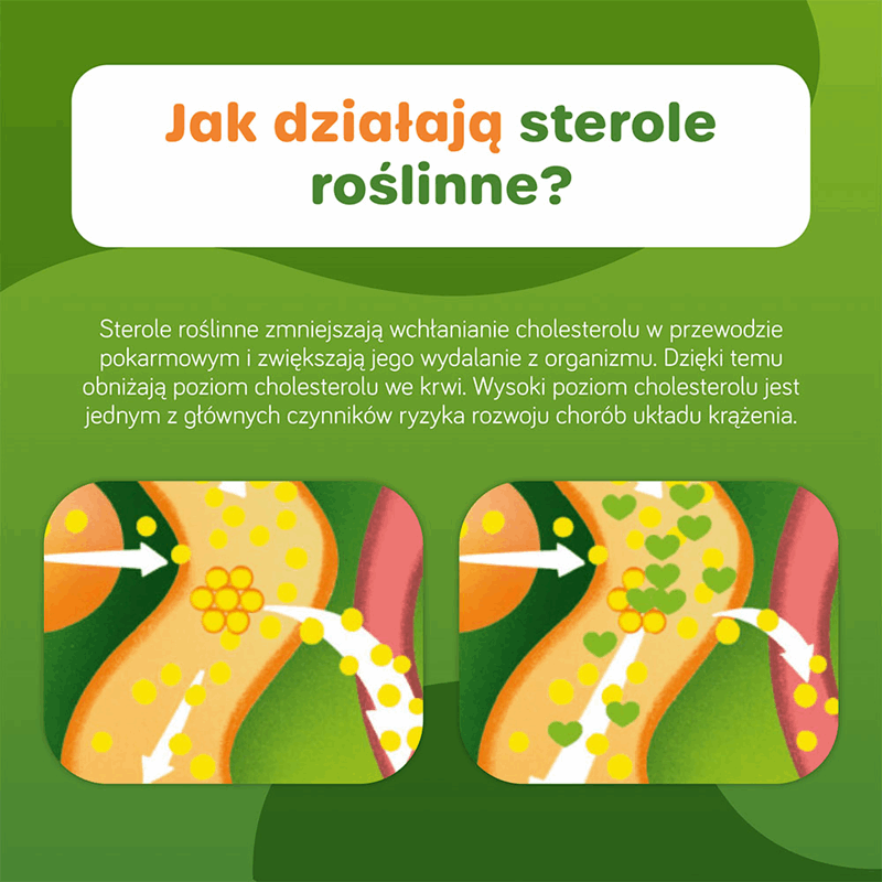 Danacol Plus żel doustny w saszetkach 15 ml na cholesterol, 21 szt.