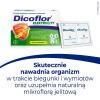 Dicoflor Elektrolity (6 porcji) 12 saszetek z proszkiem do sporządzenia roztworu