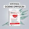 Hascovir Protect plastry na opryszczkę, 15 szt.