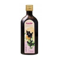 Health Labs SmartMe o smaku malinowym omega 3-6-9 z nasion, 250 ml