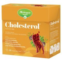 Herbapol Poznań Cholesterol herbatka w torebkach, 20 szt.