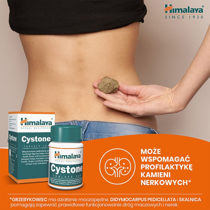 Himalaya Cystone tabletki, 100 szt.